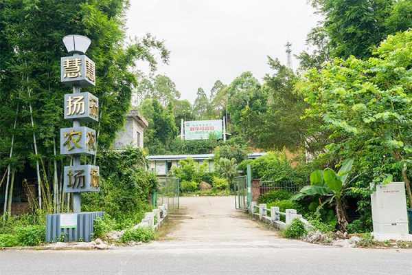 大池毛呢制造有限公司电话（大池农场）