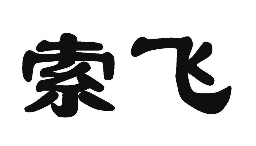 索飞智能制造有限公司（索飞智能制造有限公司怎么样）